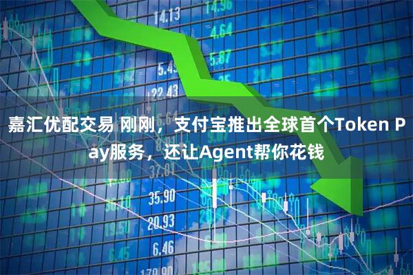 嘉汇优配交易 刚刚，支付宝推出全球首个Token Pay服务，还让Agent帮你花钱
